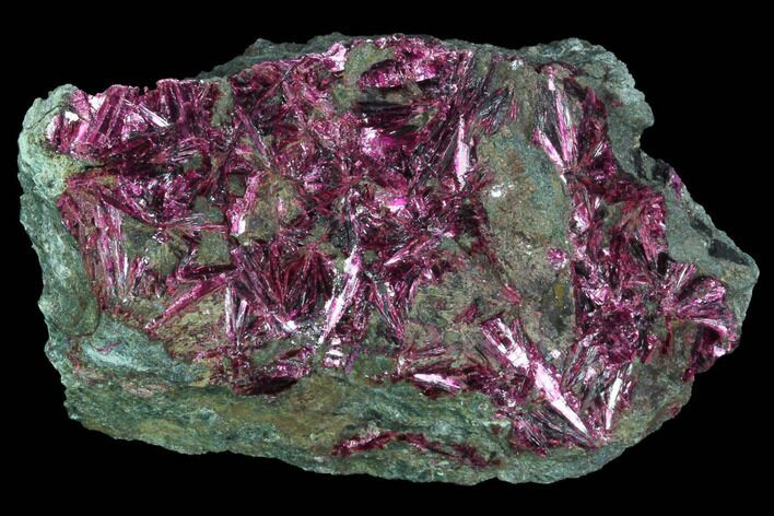Vibrant, Magenta Erythrite Crystals - Morocco #93591